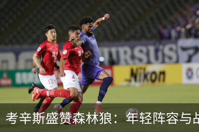 考辛斯盛赞森林狼：年轻阵容与战术高度契合